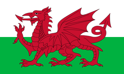 https://www.caredaily.co.uk/uploads/images/flags/1638789233172.png